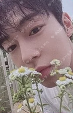 SF9 2nd Photo Book [COMMA] PHOTO CARD SET