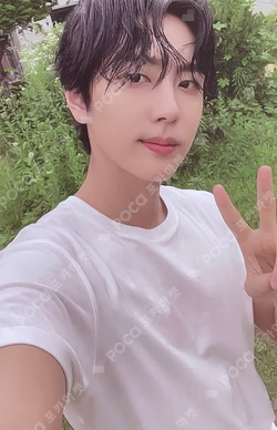 SF9 2nd Photo Book [COMMA] PHOTO CARD SET