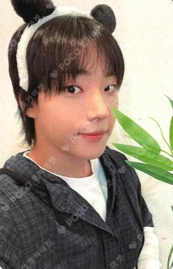 BEAUTIFUL SHADOW EVERLINE