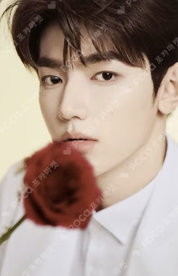 TANGLE TEEZER ZHANG HAO photocard image