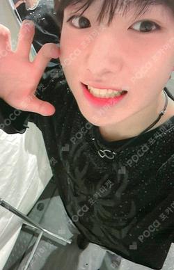 Songbird DEAR MY MUSE LUCKY DRAW SAKUYA photocard image