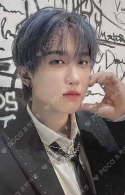 Stray Kids World Tour dominATE SEOUL SKZOO HAIR CLIP