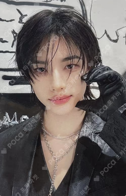 Stray Kids World Tour dominATE SEOUL SKZOO HAIR CLIP