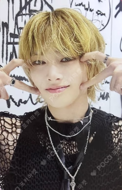Stray Kids World Tour dominATE SEOUL SKZOO HAIR CLIP