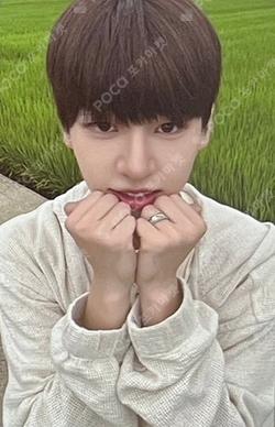 Weekend Weekend Ver. KIMDONGYUN photocard image