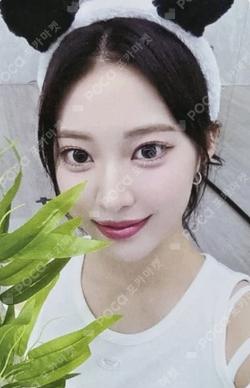 Bliss EVERLINE LUCKY DRAW ZOA photocard image