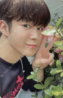 DAWON PHOTO CLASS [Since 95.07.24] PHOTO BOOK SET DAWON photocard image