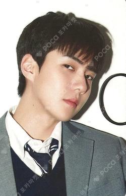 2024 SEASON'S GREETINGS PHOTO PACK
