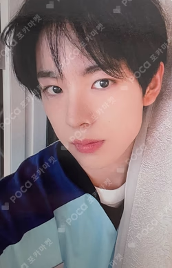 Songbird DEAR MY MUSE