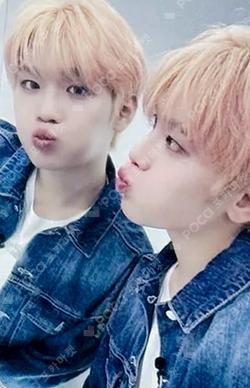 CINEMA PARADISE KTOWN4U