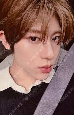 Songbird DEAR MY MUSE