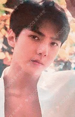 EXO PLANET #4 The EℓyXiOn  CARD WALLET &  PHOTO CARD SET