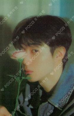 SF9 DAWON Photo Book Scene #0 DAWON photocard image