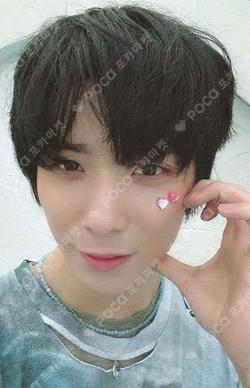 Traveling Fish SOUND WAVE