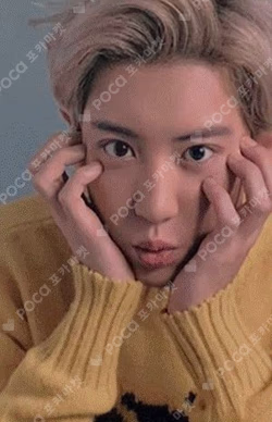 Artist&FLO CHANYEOL photocard image