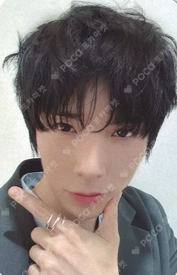 Traveling Fish EVERLINE