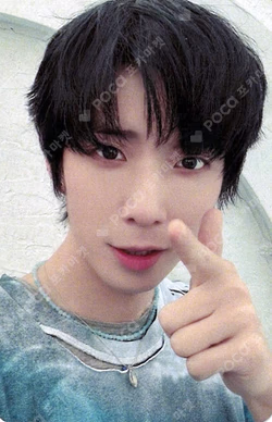 Traveling Fish EVERLINE