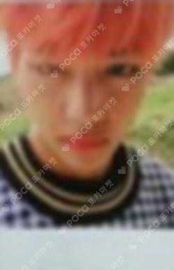 Mood for Love Young Forever V photocard image