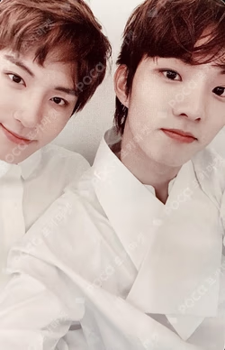 THE FIRST FRESH ver.