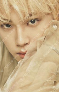 THE START Platform Ver. Set Ver.