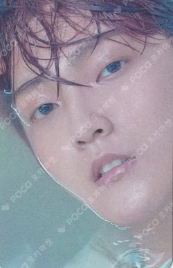 THE ONLY Platform Ver. No Air Ver.