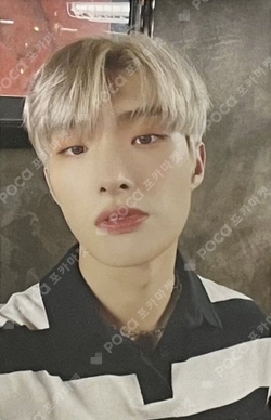 ミンギ　ATEEZ Mingi トレカ Wonderwall Pocamarket, ATEEZ MINGI ZERO : FEVER Part.2 WONDERWALL K-pop Photocard