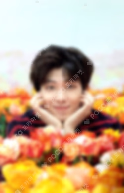 BTS WORLD TOUR 'LOVE YOURSELF'~JAPAN EDITION~ MINI PHOTO CARD