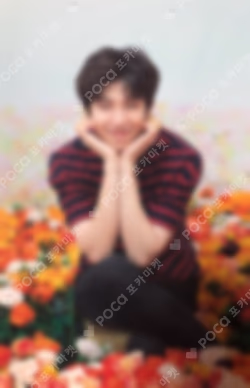 BTS WORLD TOUR 'LOVE YOURSELF'~JAPAN EDITION~ MINI PHOTO CARD