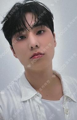 Band Aid MUSICPLANT Young K photocard image
