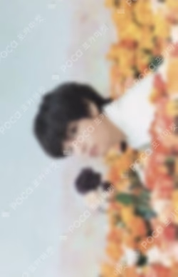 BTS WORLD TOUR 'LOVE YOURSELF'~JAPAN EDITION~ MINI PHOTO CARD