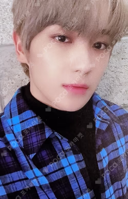 THE ONLY In the Air Ver.