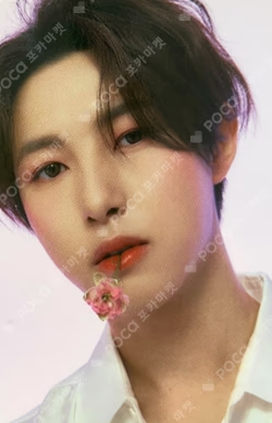 NCT DREAM x CANDYLAB