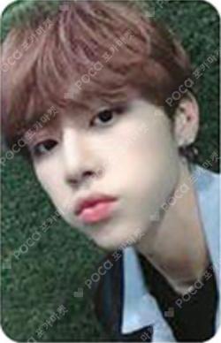 BLOOM BLOOM STREAMING EVENT SUNWOO photocard image