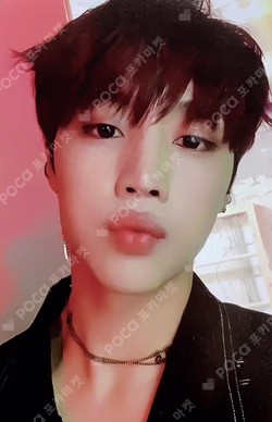 REVEAL Wolf Ver.
