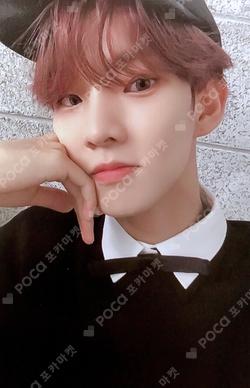 DREAMLIKE Dreamlike Ver.