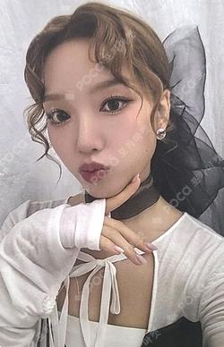 TTYL Rizz ver. Go Won photocard image