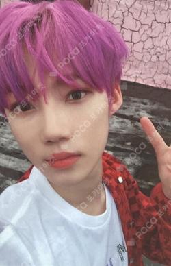 DREAMLIKE Day Ver.