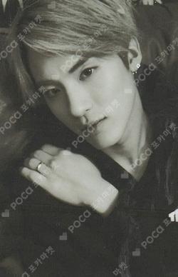 REVEAL Platform Ver. Boy Ver.