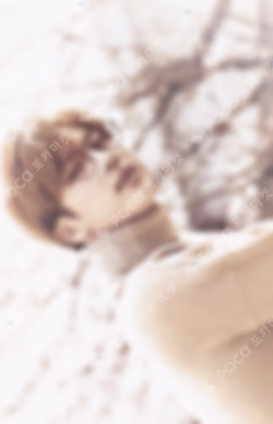 BTS 2ND MUSTER [ZIP CODE : 22920] Mini Photo Card