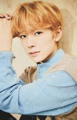 WISH FLUFFY DREAMCATCHER YUSHI photocard image