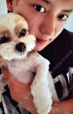 Black Out Special Ver.