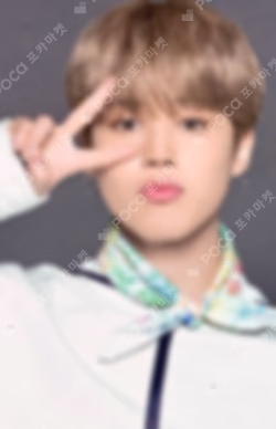BTS 2021 MUSTER SOWOOZOO Mini Photo Card