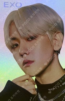 OBSESSION HOLOGRAM PHOTO CARD SET