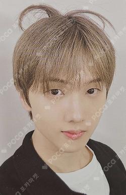 DREAM( )SCAPE SHOPEE