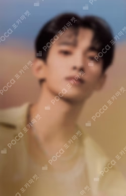 SECTOR 17 Clear Photo Card Set