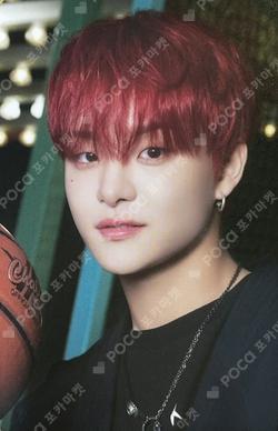 BEST FRIEND FOREVER POP-UP TRADING PHOTO CARD SET_FOREVER