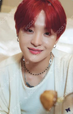 BEST FRIEND FOREVER POP-UP TRADING PHOTO CARD SET_BEST FRIEND