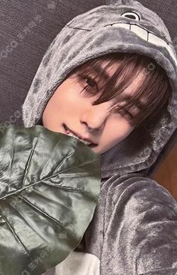 PHANTASY Pt.1 Christmas In August EVERLINE LUCKY DRAW