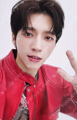 2024 NAM WOO HYUN CONCERT 식목일4 - TREEWORLD MESSAGE PHOTO CARD SET