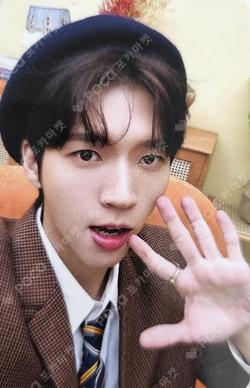 2024 NAM WOO HYUN CONCERT 식목일4 - TREEWORLD MESSAGE PHOTO CARD SET NamWooHyun photocard image